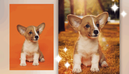 Photoshop 生成塗りつぶしを使って画像の背景を変更する